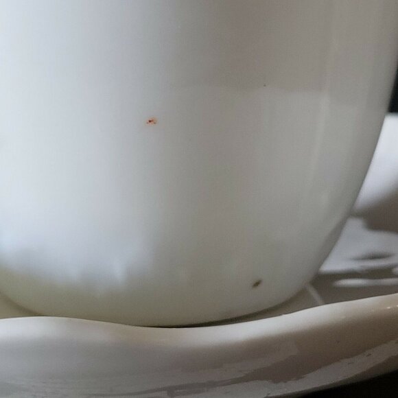 Antique Mustache Cup and Saucer "Remember Me" Flowers, Germany Mustache Mug - Picture 4 of 10